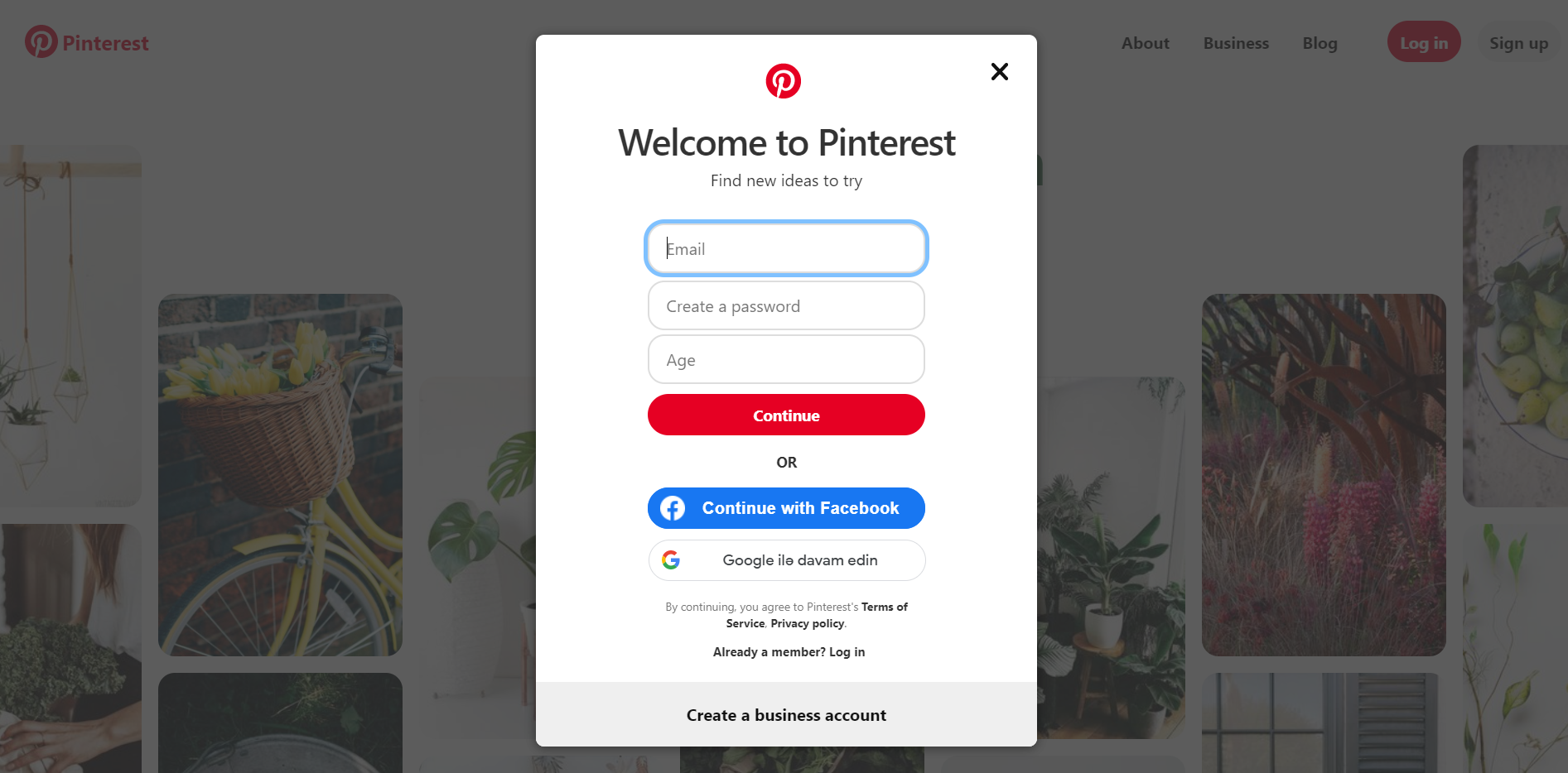 pinterest auto post wordpress plugin